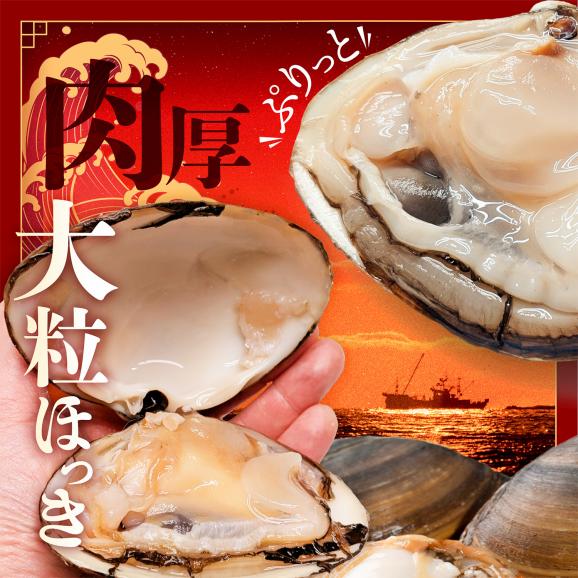 北海道 別海町産 活ホッキ 2.5kg【UY0000025】03