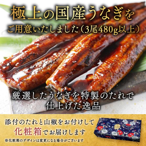 （6月）国産 大 特上うなぎ(160g&times;3尾)02