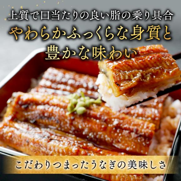 （6月）国産 大 特上うなぎ(160g&times;3尾)04