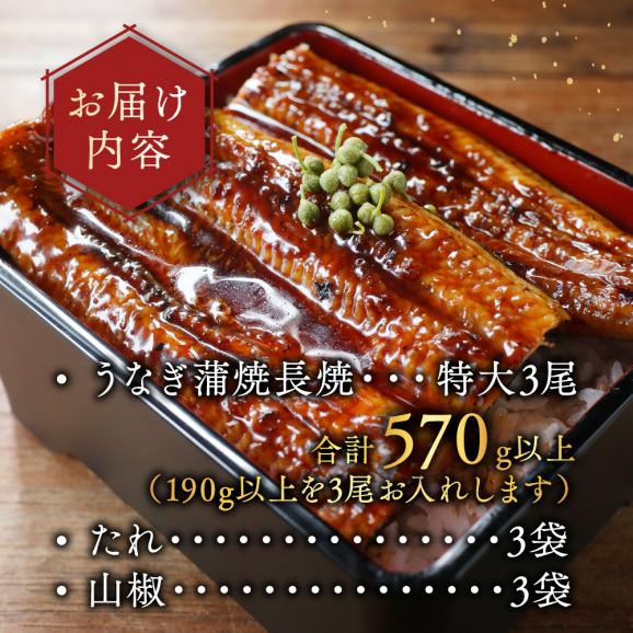（6月）国産 特大 特上うなぎ(190g&times;3尾)05