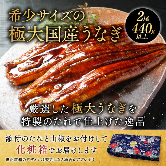 （6月）国産 極大 特上うなぎ(220g&times;2尾)02