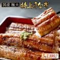 国産 極大 特上うなぎ(220g×5尾)