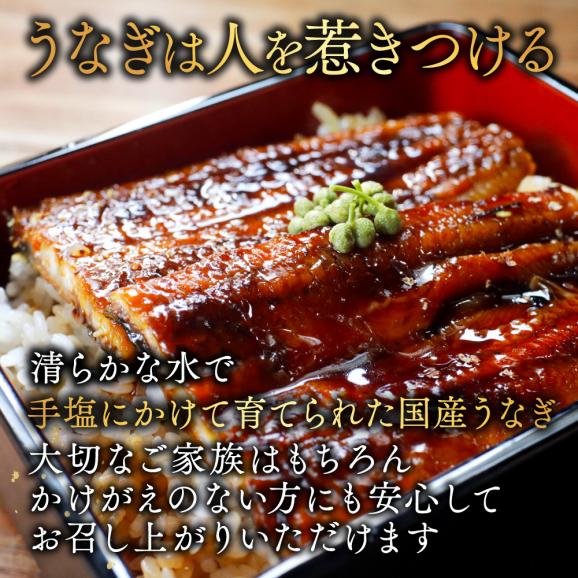 （6月）国産 極大 特上うなぎ(220g&times;5尾)03