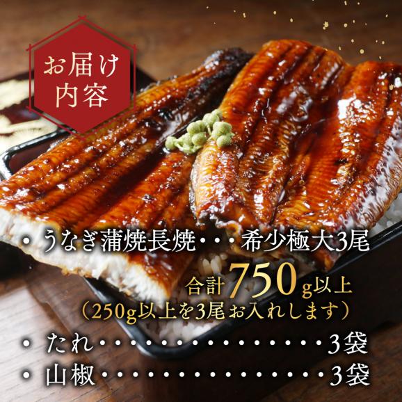 （6月）国産 希少 極大 特上うなぎ(250g&times;3尾)05