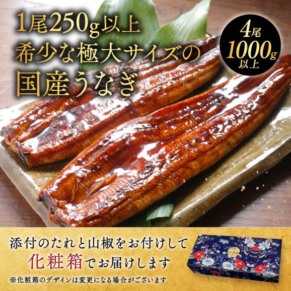 （6月）国産 希少 極大 特上うなぎ(250g&times;4尾)02