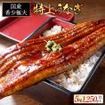 国産 希少 極大 特上うなぎ(250g×5尾)