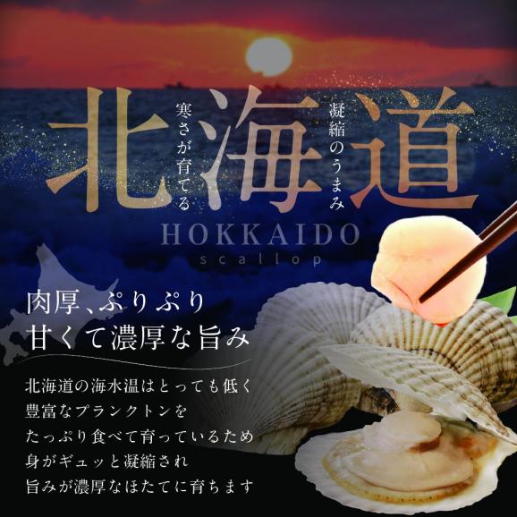 訳あり 北海道産冷凍ホタテ800g(37~40粒前後×2箱)【MT0002TX0】03