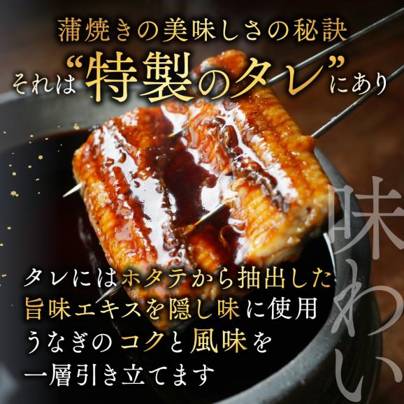 国産 希少 超極大 特上うなぎ(290g×2尾)05