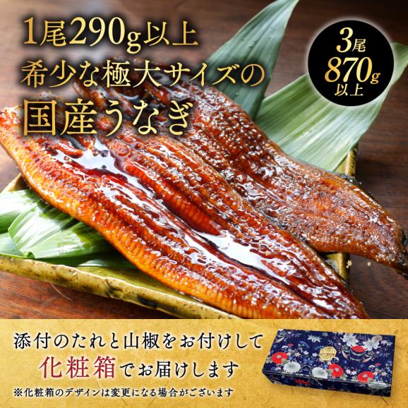国産 希少 超極大 特上うなぎ(290g×3尾)03