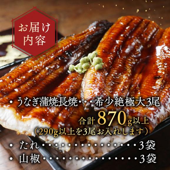 国産 希少 超極大 特上うなぎ(290g×3尾)06
