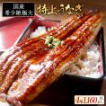国産 希少 超極大 特上うなぎ(290g×4尾)