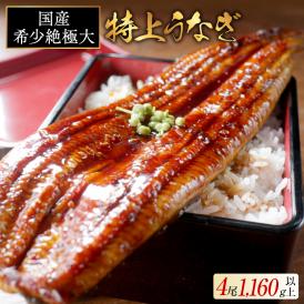 国産 希少 超極大 特上うなぎ(290g×4尾)