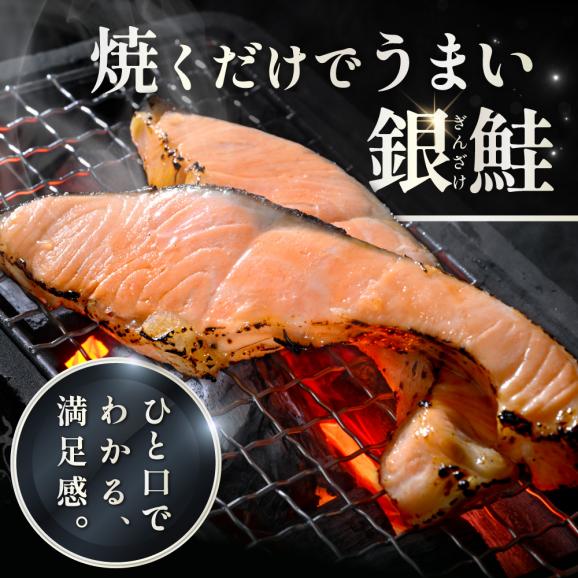 塩銀鮭切身 1.5kg 【MT000TZ00】02