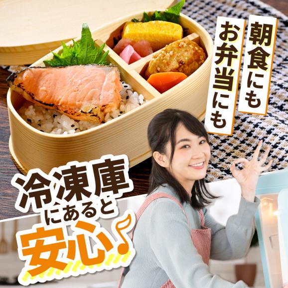 塩銀鮭切身 1.5kg 【MT000TZ00】05