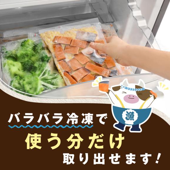 骨取り済カットチリ産銀鮭 2kg02
