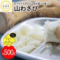 【ふるさと納税】北海道十勝芽室町 なまら十勝野の山わさび500g me001-002c