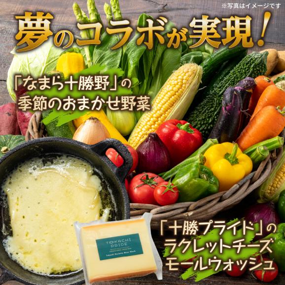 【ふるさと納税】北海道十勝芽室町 なまら十勝野 季節のおまかせ野菜 ラクレットチーズ200g セット　me000-004c02