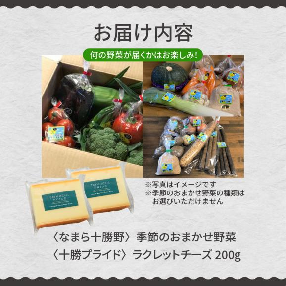 【ふるさと納税】北海道十勝芽室町 なまら十勝野 季節のおまかせ野菜 ラクレットチーズ200g セット　me000-004c05