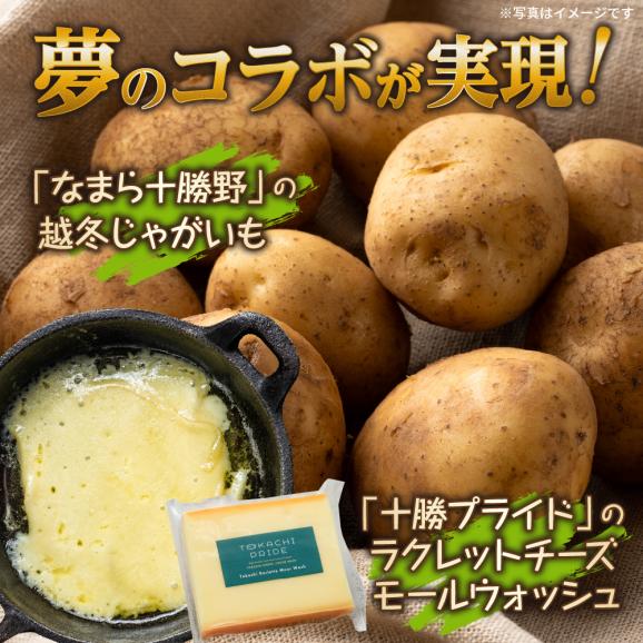 北海道十勝芽室町 なまら十勝野 越冬じゃがいも ラクレットチーズ1ホール 3,700g以上 セット　me000-009c02