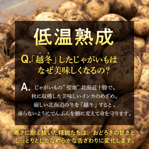 【先行受付】【2026年2月より順次発送】北海道十勝芽室町 雪室熟成越冬インカのめざめ5kg me001-005c03