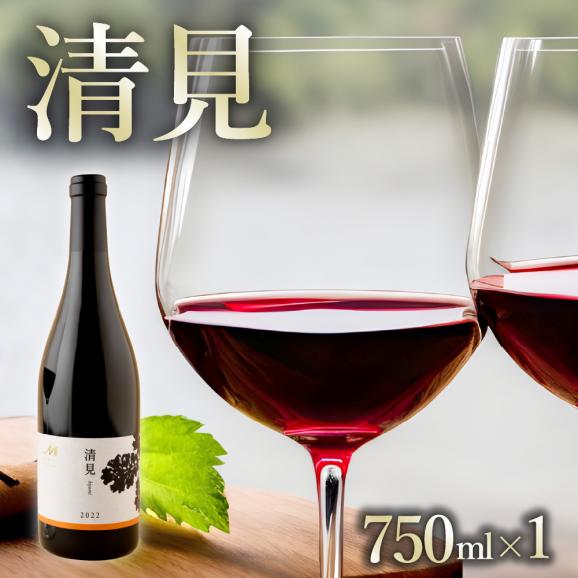 【ふるさと納税】北海道十勝芽室町 赤ワイン：清見 750ml&times;1本(箱入) me032-044c01