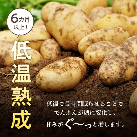 【ふるさと納税】【先行予約】【2026年2月より順次発送】北海道十勝芽室町 なまら十勝野の越冬メークイン5kg me001-001c02