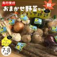 【ふるさと納税】【先行受付】【2025年10月より配送】北海道十勝芽室町 なまら十勝野の季節のおまかせ野菜セット（秋） me001-004c