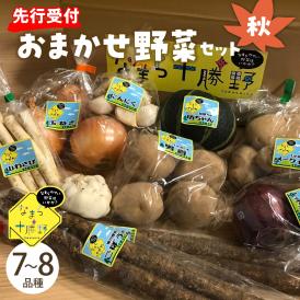 【ふるさと納税】【先行受付】【2025年10月より配送】北海道十勝芽室町 なまら十勝野の季節のおまかせ野菜セット（秋） me001-004c