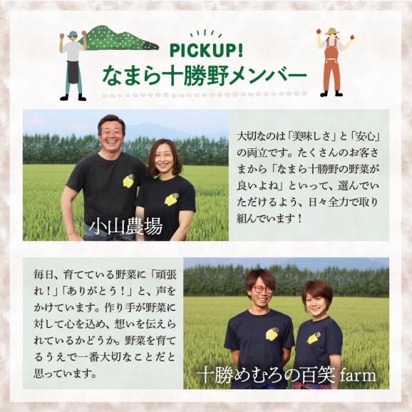 【ふるさと納税】【10月より配送】北海道十勝芽室町 なまら十勝野の季節のおまかせ野菜セット（秋） me001-004c04