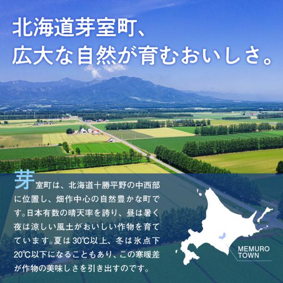 【先行受付】【2025年9月下旬より配送予定】北海道十勝芽室町 幻のじゃがいも「マチルダ」5kg me002-001-24c03