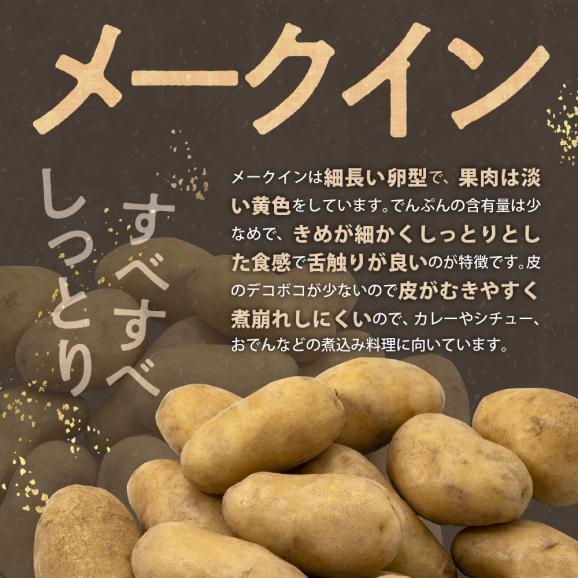 【先行受付】【2025年9月下旬より配送予定】北海道十勝芽室町 メークイン5kg me002-002-24c02