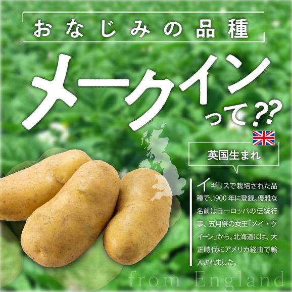 【先行受付】【2025年9月下旬より配送予定】北海道十勝芽室町 メークイン5kg me002-002-24c03