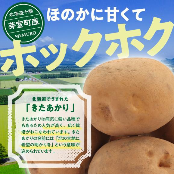 【先行受付】【2025年9月下旬より配送予定】北海道十勝芽室町 きたあかり5kg me002-003-24c02