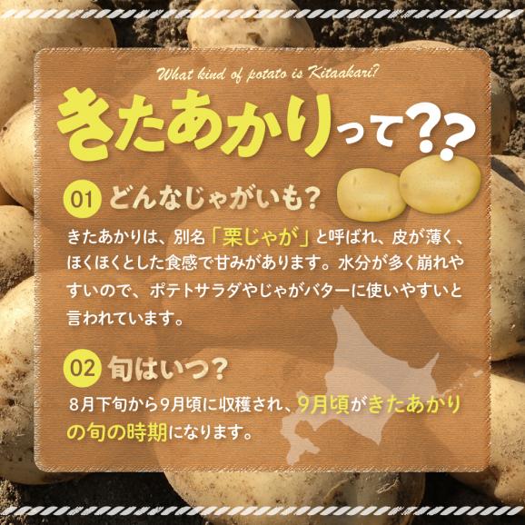【先行受付】【2025年9月下旬より配送予定】北海道十勝芽室町 きたあかり5kg me002-003-24c03