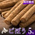 【先行受付】【2025年10月より配送予定】北海道十勝芽室町 愛菜屋のめむろごぼう5kg me002-006c