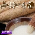 【先行受付】【2025年11月より配送予定】北海道十勝芽室町 長いも 約5kg me002-015c