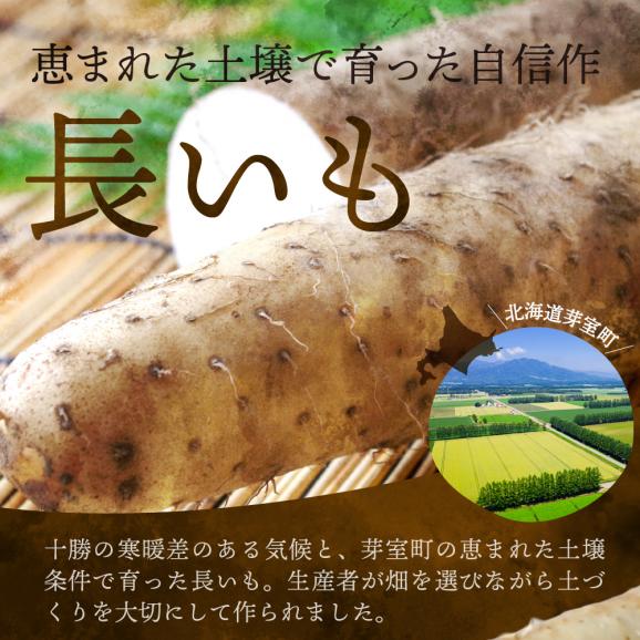 【先行受付】【2025年11月より配送予定】北海道十勝芽室町 長いも 約5kg me002-015c02