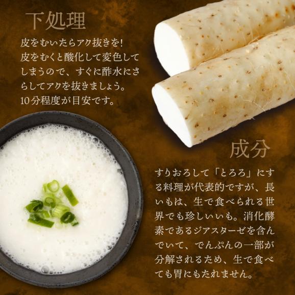 【先行受付】【2025年11月より配送予定】北海道十勝芽室町 長いも 約5kg me002-015c03