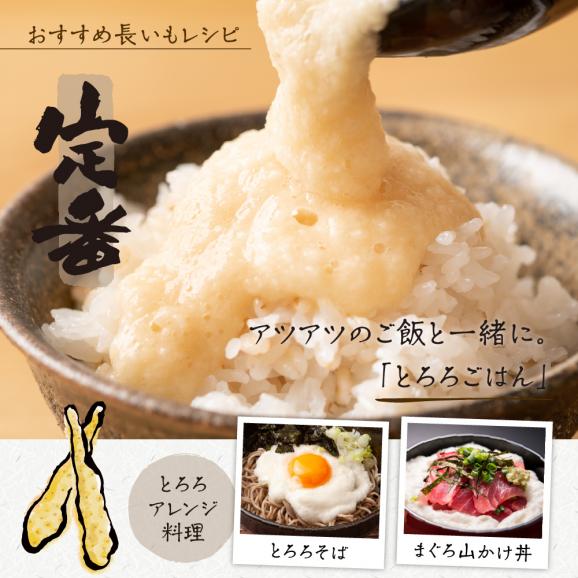 【先行受付】【2025年11月より配送予定】北海道十勝芽室町 長いも 約5kg me002-015c04