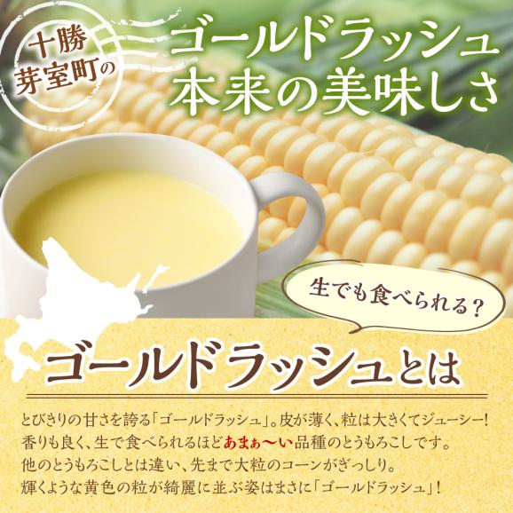 【ふるさと納税】「マツコの知らない世界」で紹介されました！北海道十勝芽室町 十勝産ゴールドラッシュのコーンスープ 　1袋　me003-030c-sp04
