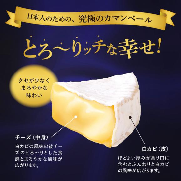 【ふるさと納税】明治北海道十勝チーズ カマンベール4種8個セット me003-069c02