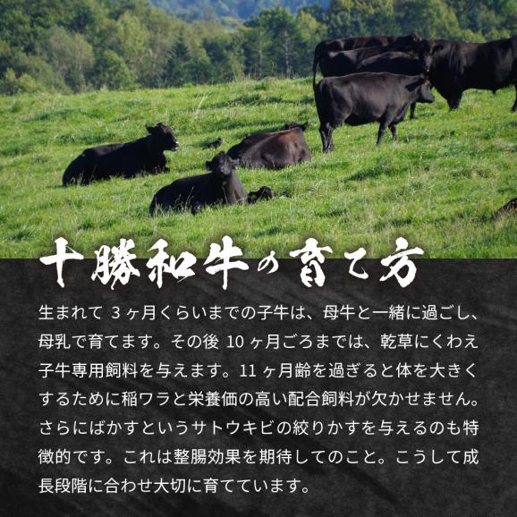 【ふるさと納税】北海道十勝和牛ロースステーキ 100g×3枚 me040-001c04