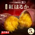 【先行予約】【2025年11月下旬より配送】北海道十勝芽室町産 有機JAS認証 鈴鹿農園さつまいも 紅はるか 5kg（土付き）me049-001c-25