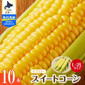 【ふるさと納税】【先行予約】【2025年産】北海道十勝芽室町 とうもろこし スイートコーン10本 イエロー種 me002-004c-25