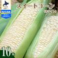 【ふるさと納税】【先行予約】【2025年産】北海道十勝芽室町 とうもろこし 10本 ホワイト種 me002-005c-25