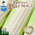 【ふるさと納税】【先行予約】【2025年産】北海道十勝芽室町 とうもろこし 10本 ホワイト種 me002-005c-25