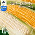 【ふるさと納税】【先行予約】【2025年産】北海道十勝芽室町 とうもろこし イエロー種5本 ホワイト種5本 me002-008c-25