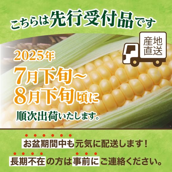 【ふるさと納税】【先行予約】【2025年産】北海道十勝芽室町 とうもろこし イエロー種5本 ホワイト種5本 me002-008c-2502