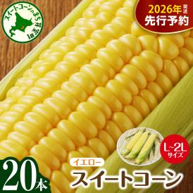 【ふるさと納税】【2026年7月下旬～8月中旬頃配送】北海道十勝芽室町 とうもろこし スイートコーン20本 イエロー種 me002-014c-26