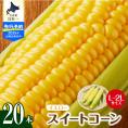 【ふるさと納税】【先行予約】【2025年産】北海道十勝芽室町 とうもろこし スイートコーン20本 イエロー種 me002-014c-25